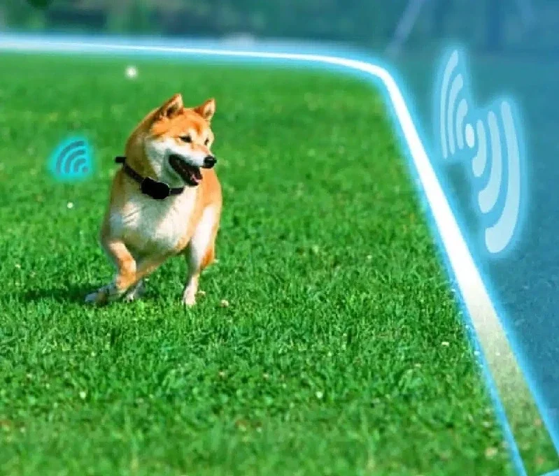 Neviditeľné oplotenie pre psa s obojkom