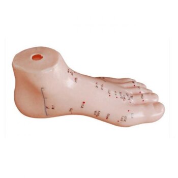 Akupunktúrny model chodidla, AcuPoint 15 cm