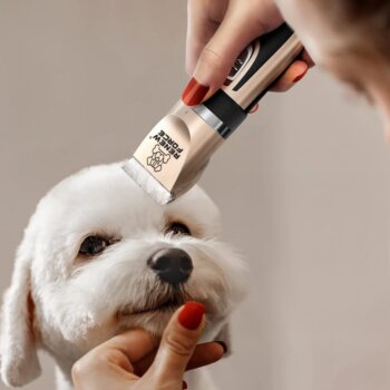 Strihací strojček na srsť zvierat 6 nadstavcov, Pet Grooming, Gold
