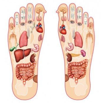 Detoxikačné náplaste KINOKI