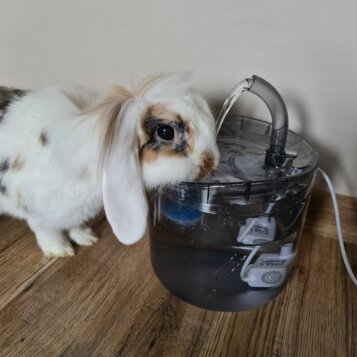 Fontánka - napájačka pre psa/mačku 2000ml - Náhľad