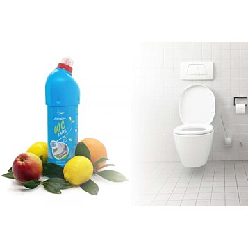 WC Shine - profesionálny prípravok na dezinfekciu toaliet a bidetov, 1 L - Náhľad