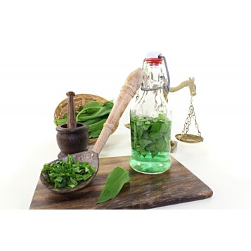 Prírodný výluh z medvedieho cesnaku, prírodný koncentrát - 250 ml - Náhľad