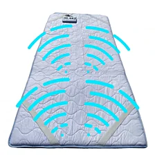 Pulzný magnetoterapeutický prístroj, magnetoterapia - celotelový matrac, TeraMagon