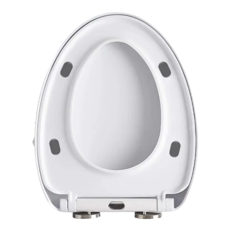 Rozmery a tvar dosky Renew Force TOI-SEA6